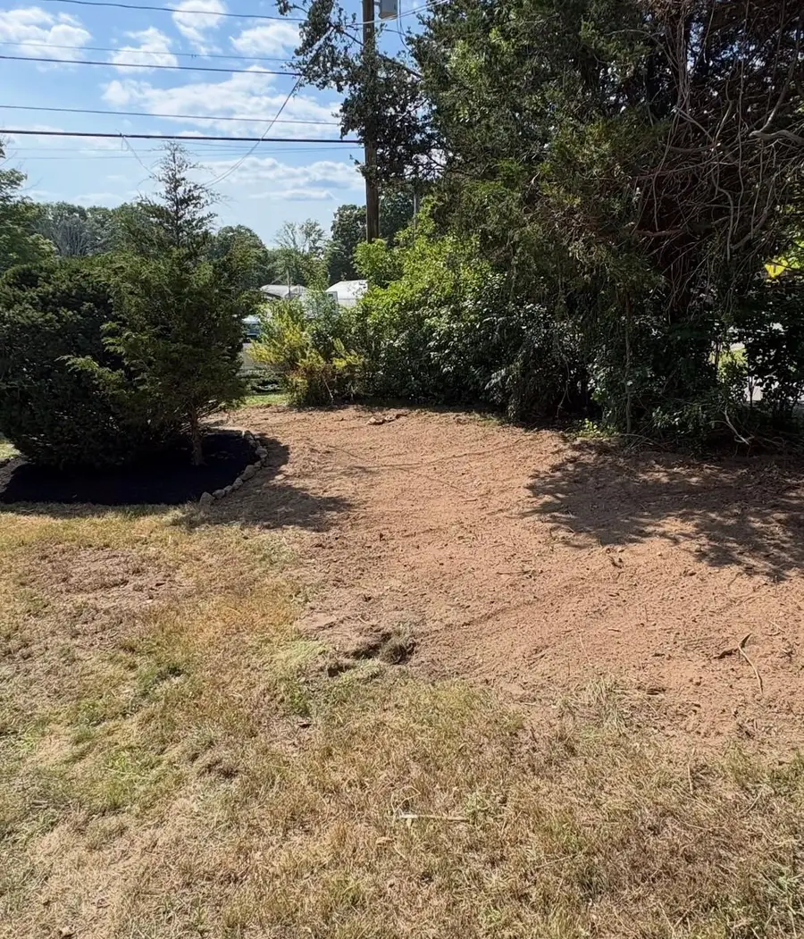 After: the brush removed and the ground leveled next to a freshly mulched bed