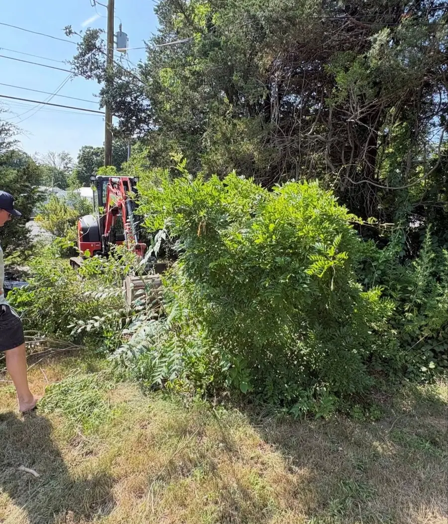 Before: dense overgrown brush beside a lawn, with a mini excavator arriving
